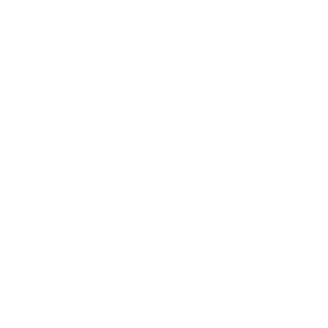 運動領域